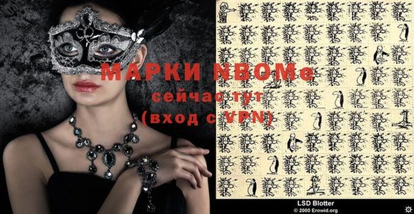 крисы Новодвинск