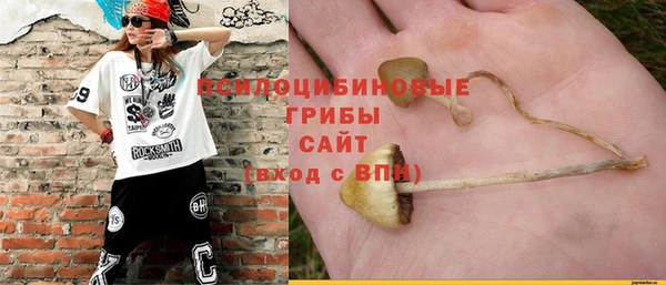 СК Нягань