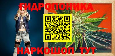 альфа пвп Аргун