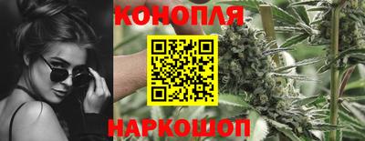 гидра Апрелевка