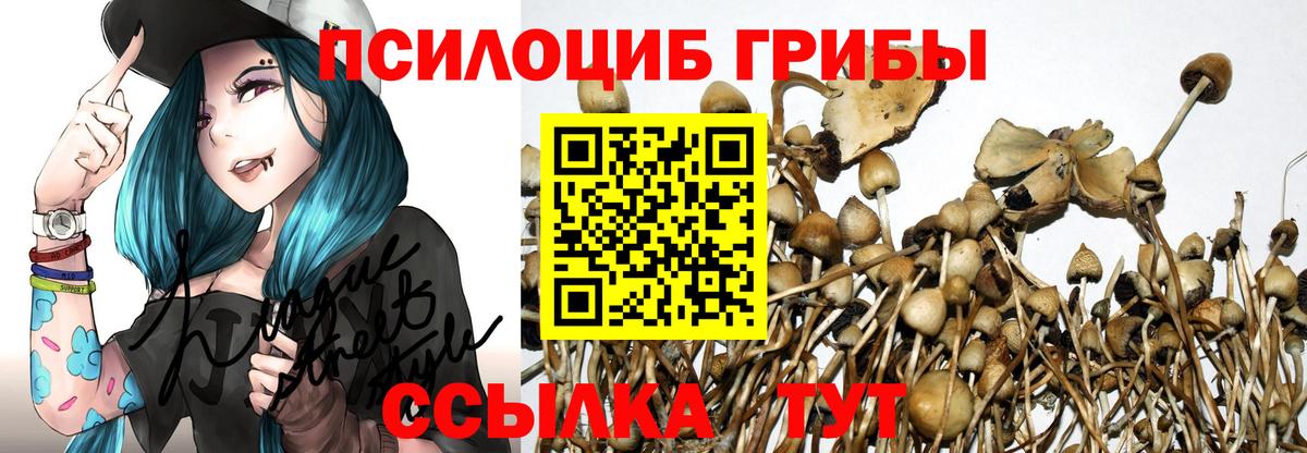 Псилоцибиновые грибы прущие грибы  Вход с VPN  Кирово-Чепецк  Галлюциногенные грибы мухоморы 